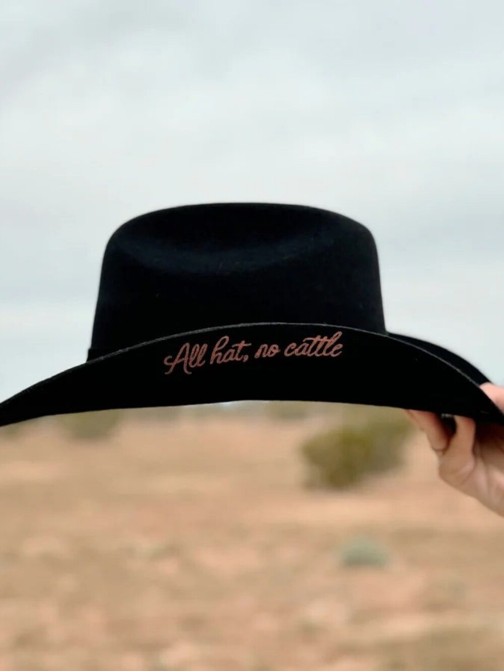 Wild As Heck All Hat No Cattle Cowboy Cowgirl Hat Black Wool 57 cm